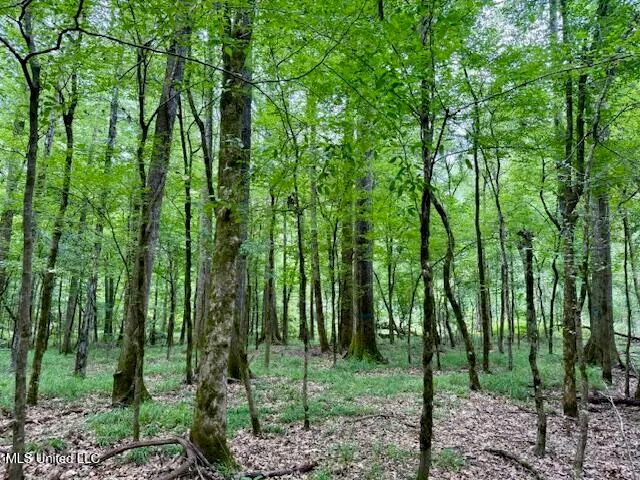 $469,900 | Pecan Orchard Road, Liberty, MS 39645