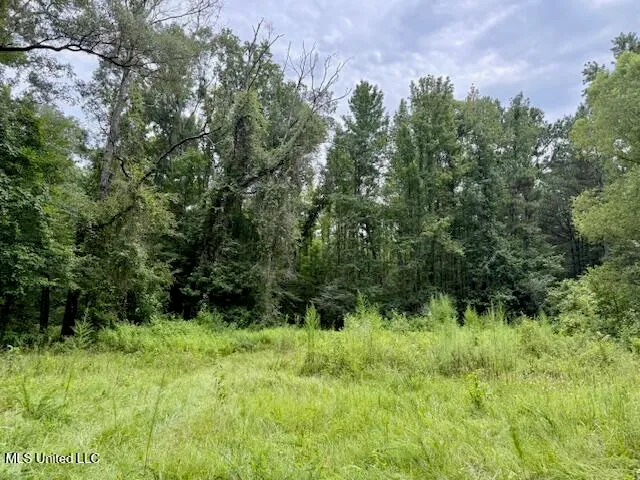 $469,900 | Pecan Orchard Road, Liberty, MS 39645