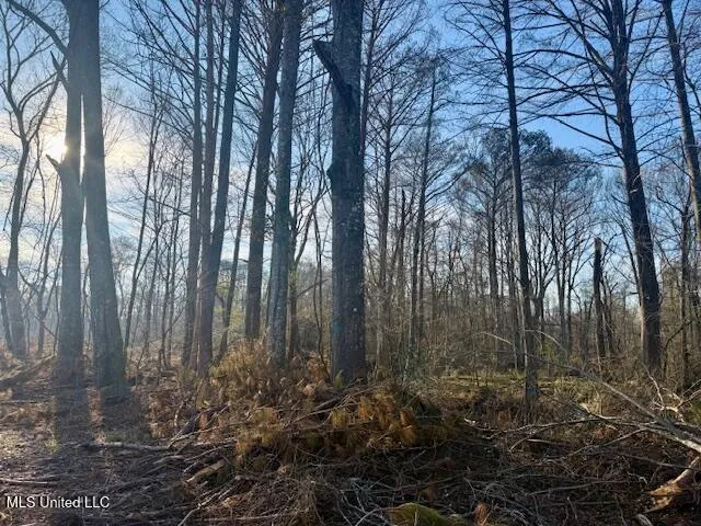 $469,900 | Pecan Orchard Road, Liberty, MS 39645