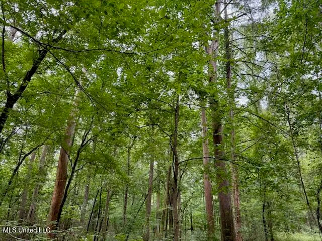 $469,900 | Pecan Orchard Road, Liberty, MS 39645