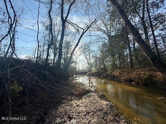Pecan Orchard Road Liberty, MS 39645 - Photo 35 of 54 IMG_7360