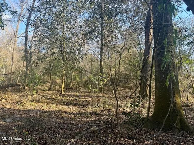 $469,900 | Pecan Orchard Road, Liberty, MS 39645
