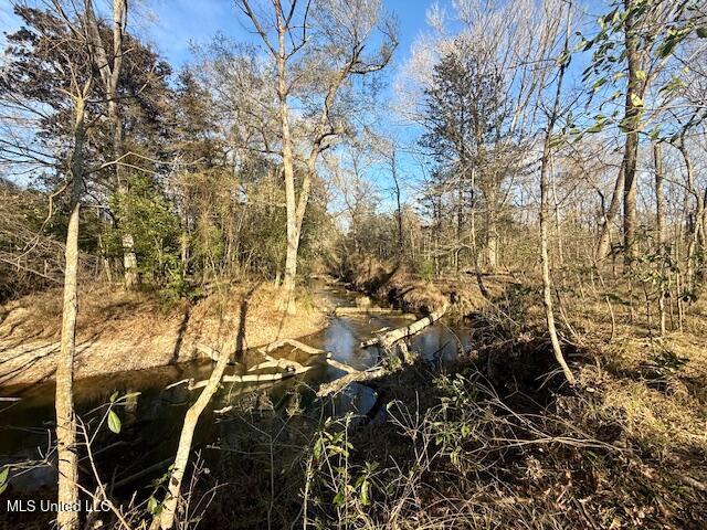 Pecan Orchard Road Liberty, MS 39645 - Photo 37 of 54 IMG_7362