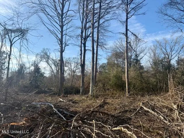 $469,900 | Pecan Orchard Road, Liberty, MS 39645