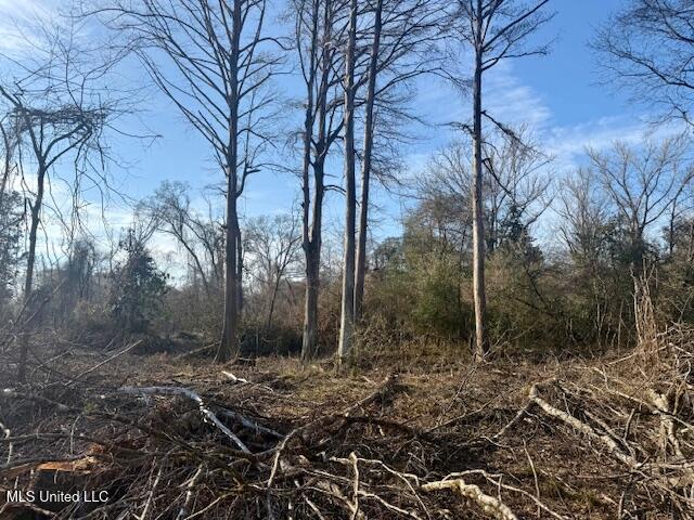 Pecan Orchard Road Liberty, MS 39645 - Photo 38 of 54 IMG_7363