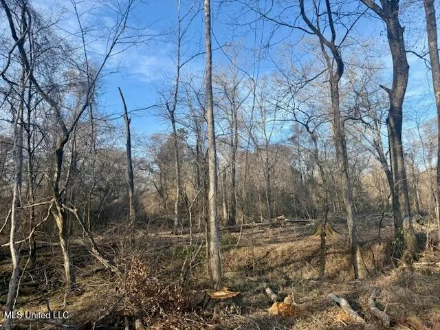 $469,900 | Pecan Orchard Road, Liberty, MS 39645