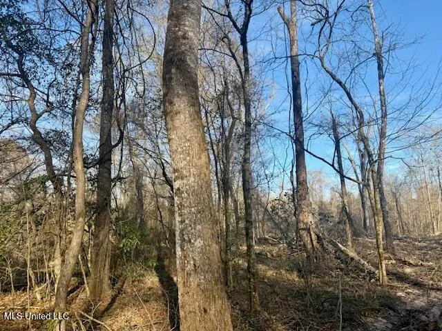 $469,900 | Pecan Orchard Road, Liberty, MS 39645