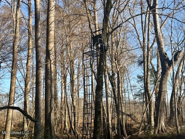 Pecan Orchard Road Liberty, MS 39645 - Photo 4 of 54 IMG_7373