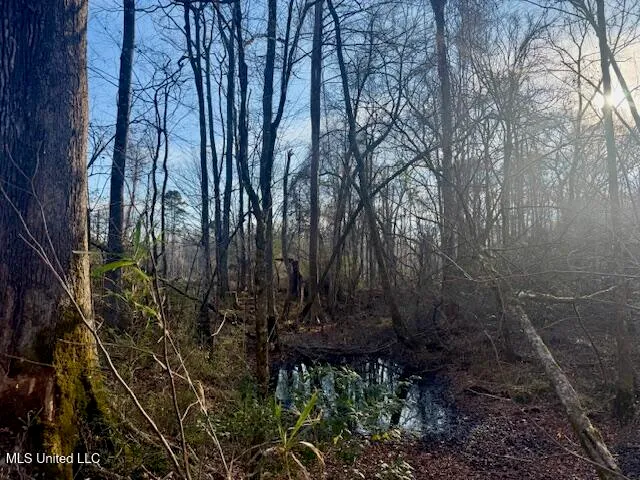 $469,900 | Pecan Orchard Road, Liberty, MS 39645
