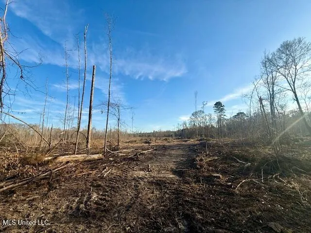 $469,900 | Pecan Orchard Road, Liberty, MS 39645