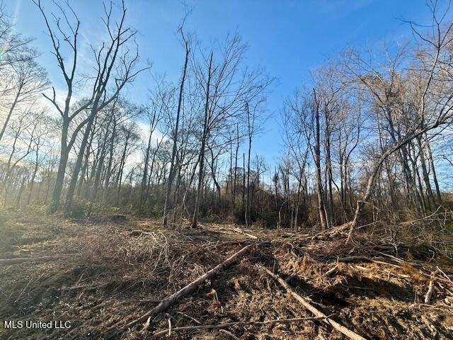 Pecan Orchard Road Liberty, MS 39645 - Photo 43 of 54 IMG_7377
