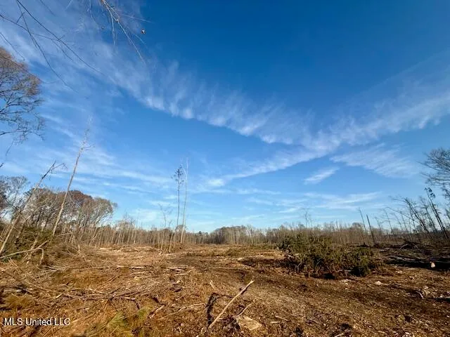 $469,900 | Pecan Orchard Road, Liberty, MS 39645