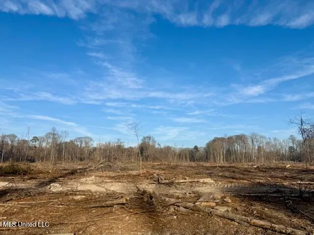 $469,900 | Pecan Orchard Road, Liberty, MS 39645