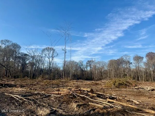 $469,900 | Pecan Orchard Road, Liberty, MS 39645