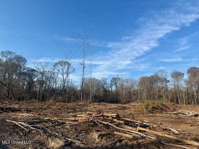 Pecan Orchard Road Liberty, MS 39645 - Photo 46 of 54 IMG_7383