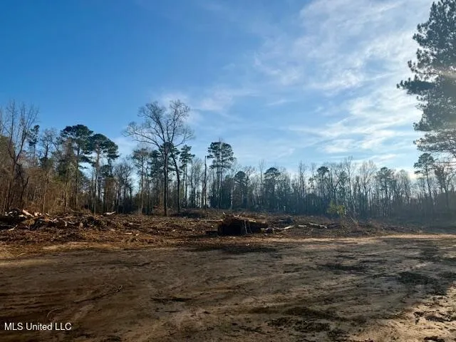 $469,900 | Pecan Orchard Road, Liberty, MS 39645