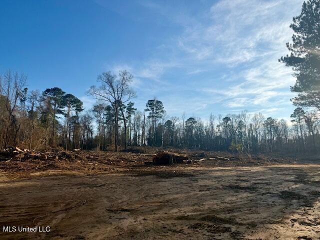 Pecan Orchard Road Liberty, MS 39645 - Photo 47 of 54 IMG_7388