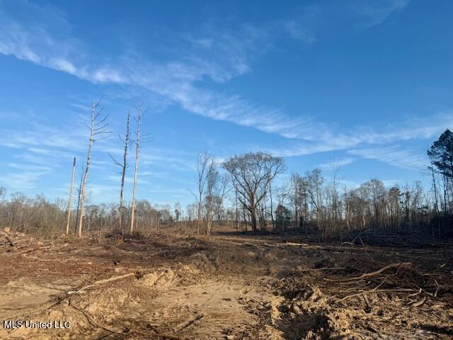 Pecan Orchard Road Liberty, MS 39645 - Photo 48 of 54 IMG_7389