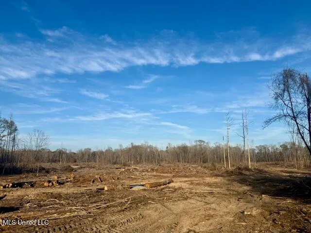 $469,900 | Pecan Orchard Road, Liberty, MS 39645