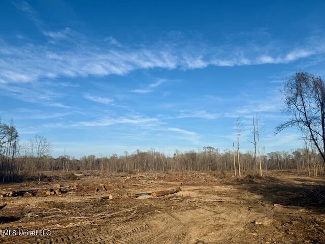Pecan Orchard Road Liberty, MS 39645 - Photo 49 of 54 IMG_7390