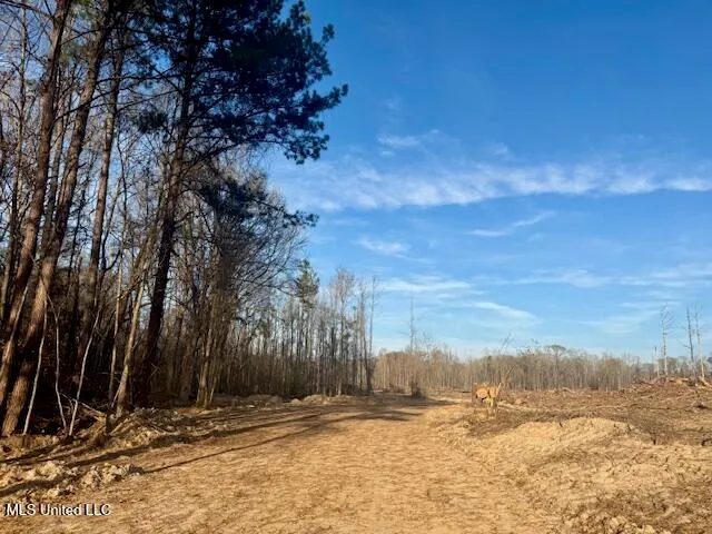 $469,900 | Pecan Orchard Road, Liberty, MS 39645