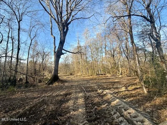 $469,900 | Pecan Orchard Road, Liberty, MS 39645