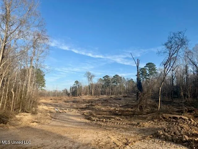 $469,900 | Pecan Orchard Road, Liberty, MS 39645