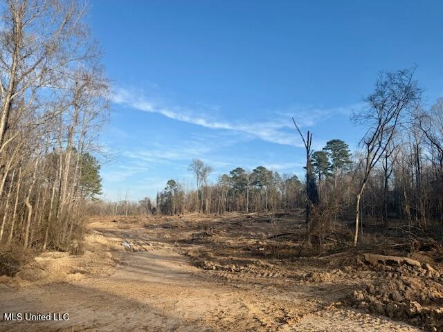 Pecan Orchard Road Liberty, MS 39645 - Photo 51 of 54 IMG_7392