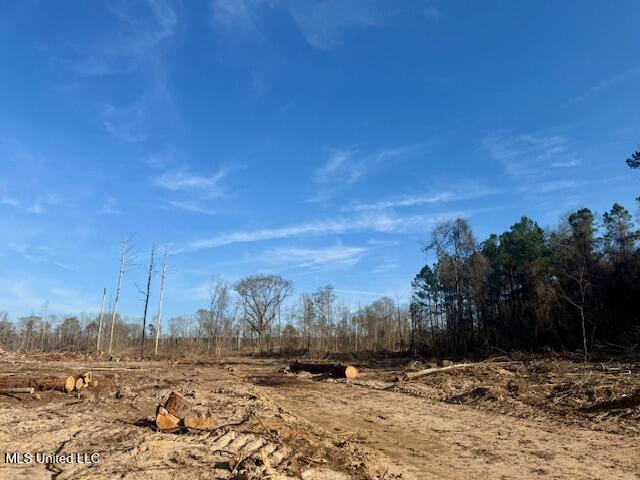 Pecan Orchard Road Liberty, MS 39645 - Photo 53 of 54 IMG_7336