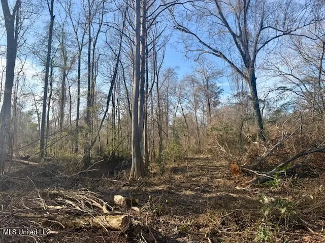 $469,900 | Pecan Orchard Road, Liberty, MS 39645