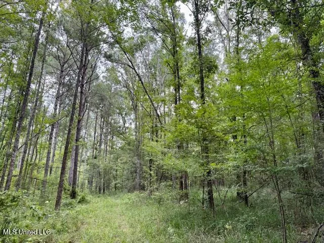 $469,900 | Pecan Orchard Road, Liberty, MS 39645