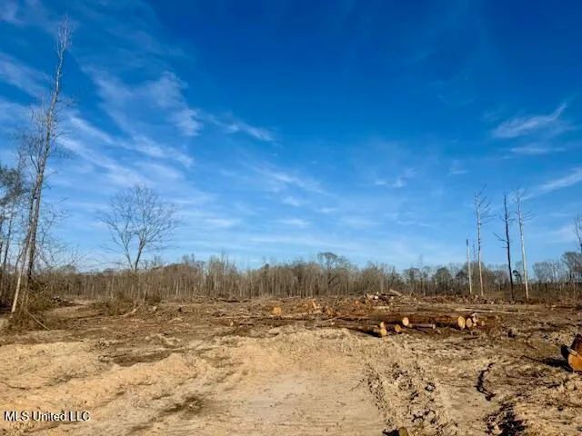 $469,900 | Pecan Orchard Road, Liberty, MS 39645