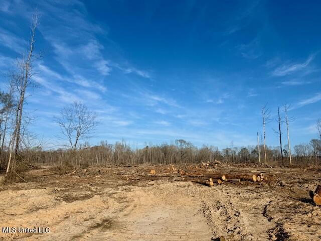 Pecan Orchard Road Liberty, MS 39645 - Photo 7 of 54 IMG_7337