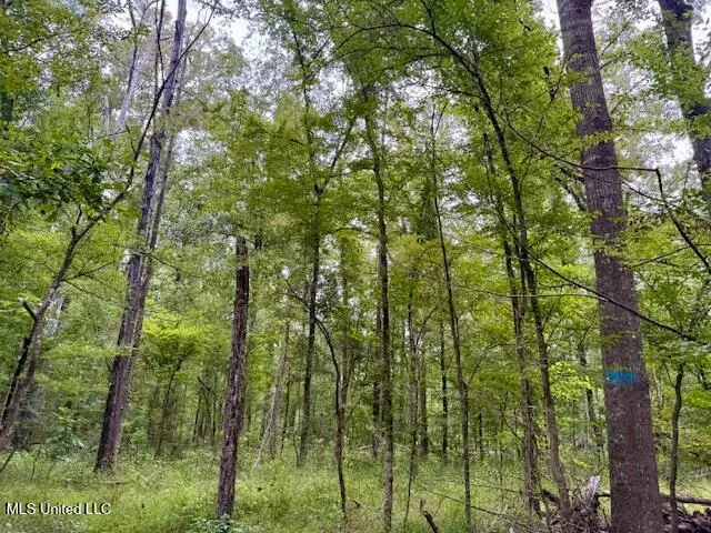 $469,900 | Pecan Orchard Road, Liberty, MS 39645