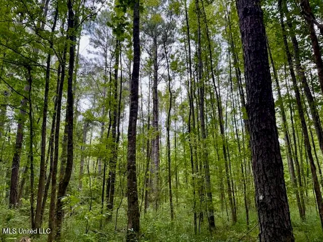 $469,900 | Pecan Orchard Road, Liberty, MS 39645