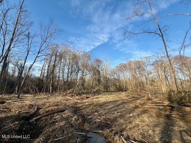 Pecan Orchard Road Liberty, MS 39645 - Photo 8 of 54 IMG_7378