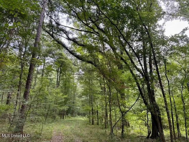 $469,900 | Pecan Orchard Road, Liberty, MS 39645