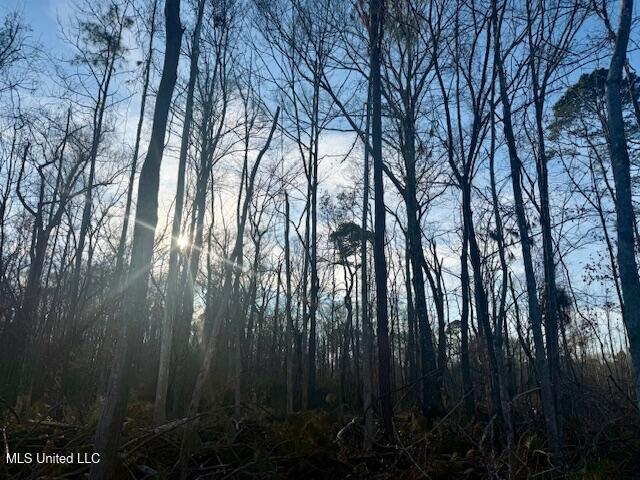 Pecan Orchard Road Liberty, MS 39645 - Photo 9 of 54 IMG_7384