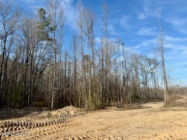 $469,900 | Pecan Orchard Road, Liberty, MS 39645