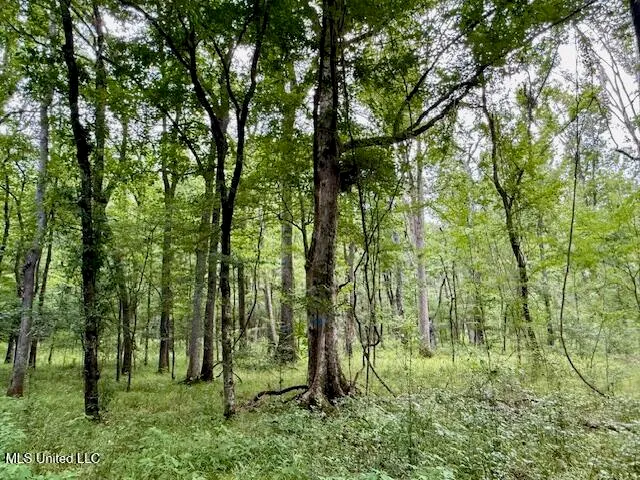 $469,900 | Pecan Orchard Road, Liberty, MS 39645