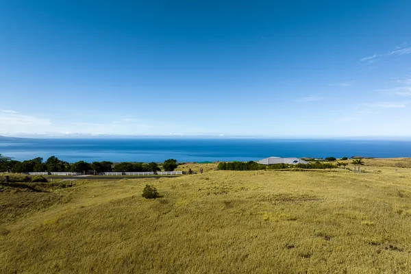 a view of an ocean from in a yard