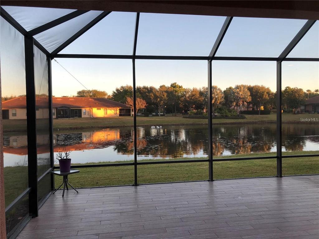 140 Shell Falls Drive Apollo Beach, FL 33572 - Photo 20 of 48