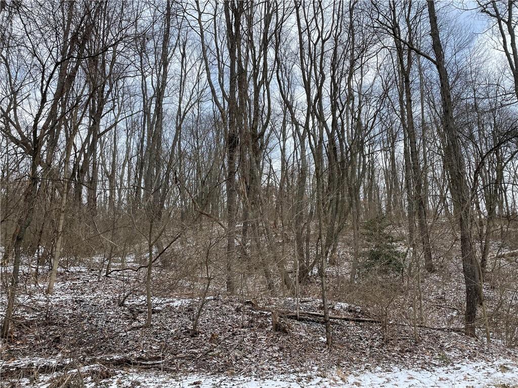 0 Bernie Stone Road Latrobe, PA 15650 - Photo 1 of 1 Gallery Image 1