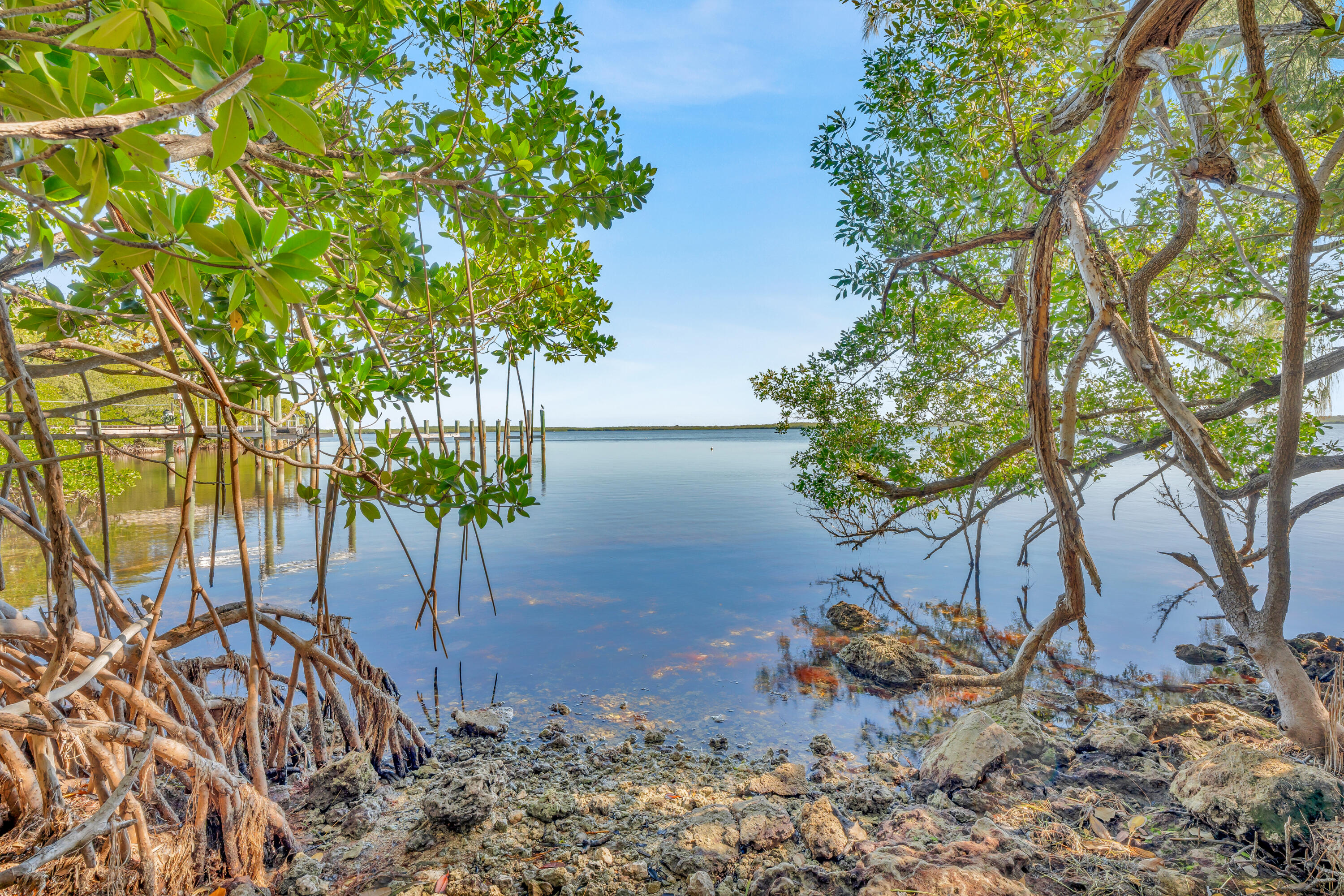 33 Blue Runner Street Key Largo, FL 33037 - Photo 55 of 60 a view of a yard with plants and trees