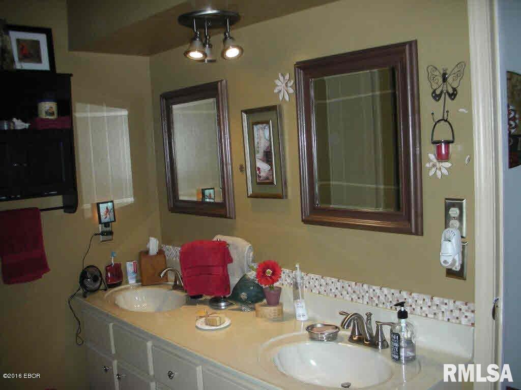 232 McKinney Chapel Road Marion, IL 62959 - Photo 11 of 29