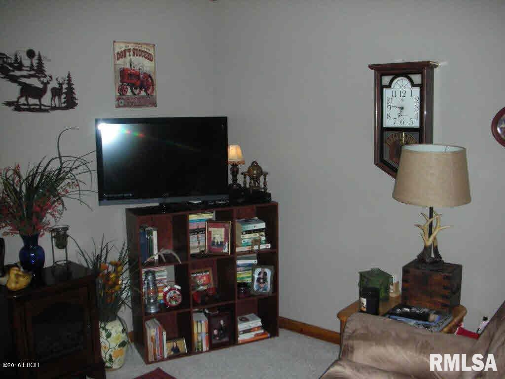232 McKinney Chapel Road Marion, IL 62959 - Photo 15 of 29