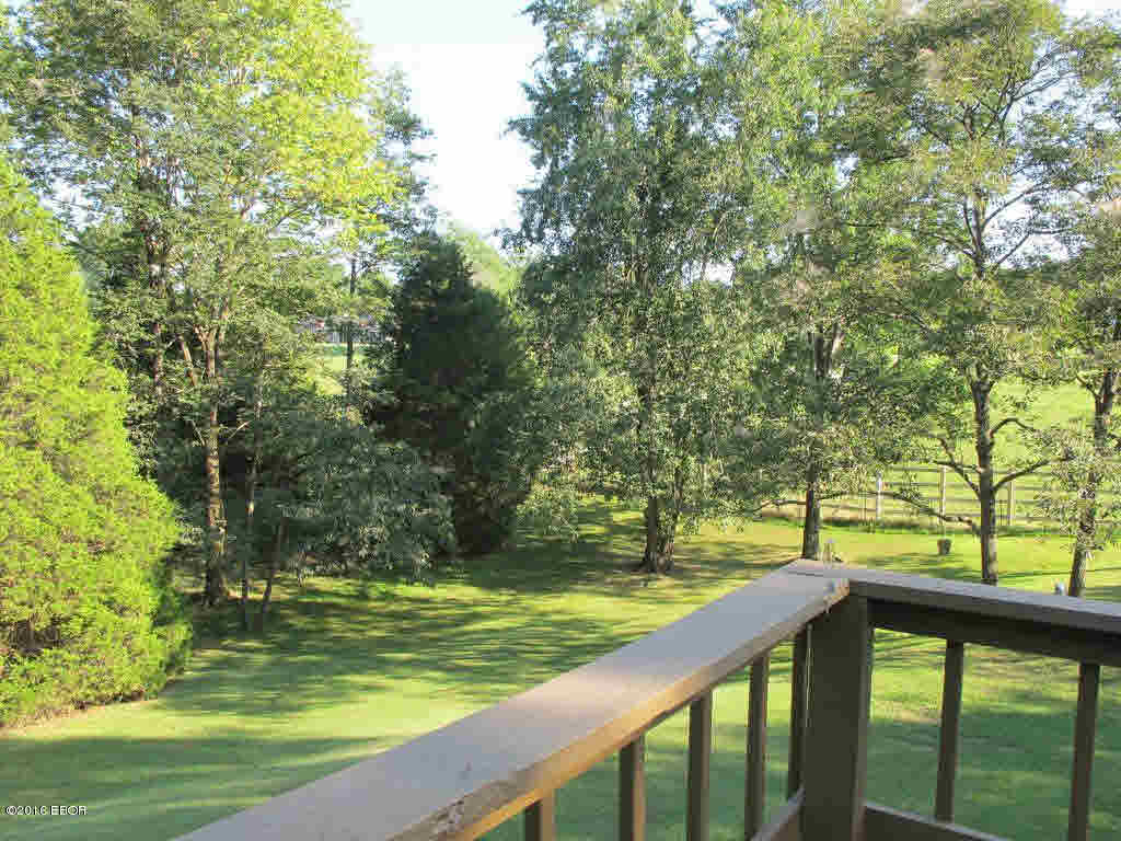 232 McKinney Chapel Road Marion, IL 62959 - Photo 25 of 29