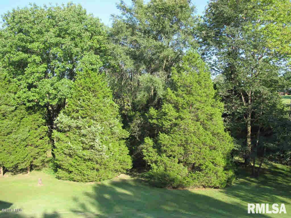 232 McKinney Chapel Road Marion, IL 62959 - Photo 29 of 29