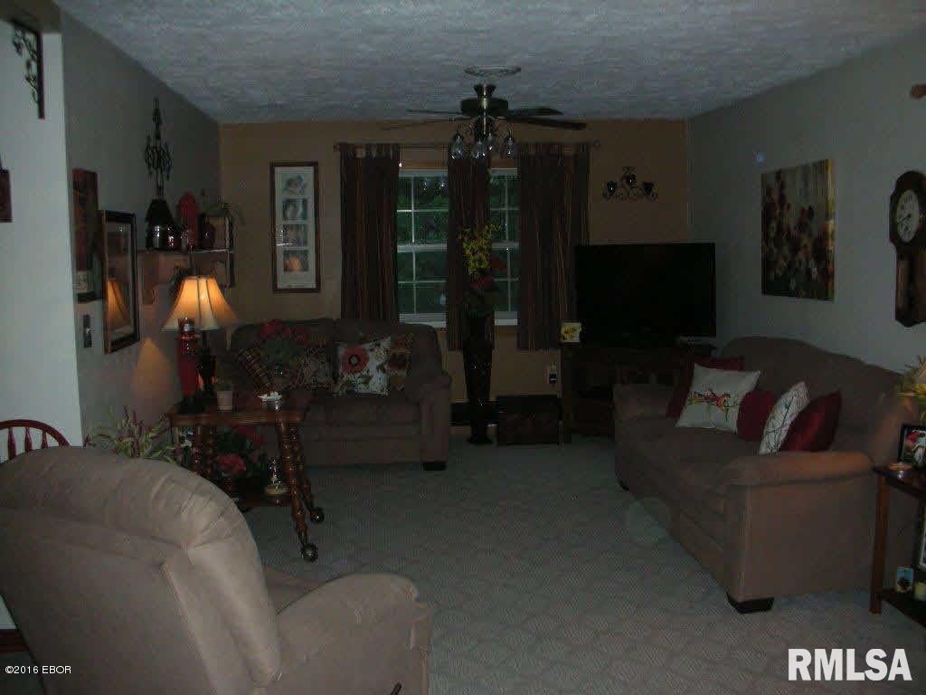 232 McKinney Chapel Road Marion, IL 62959 - Photo 5 of 29