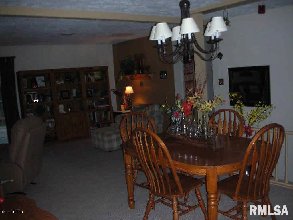 232 McKinney Chapel Road Marion, IL 62959 - Photo 6 of 29